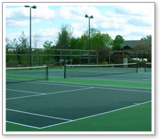 professional tennis court surface